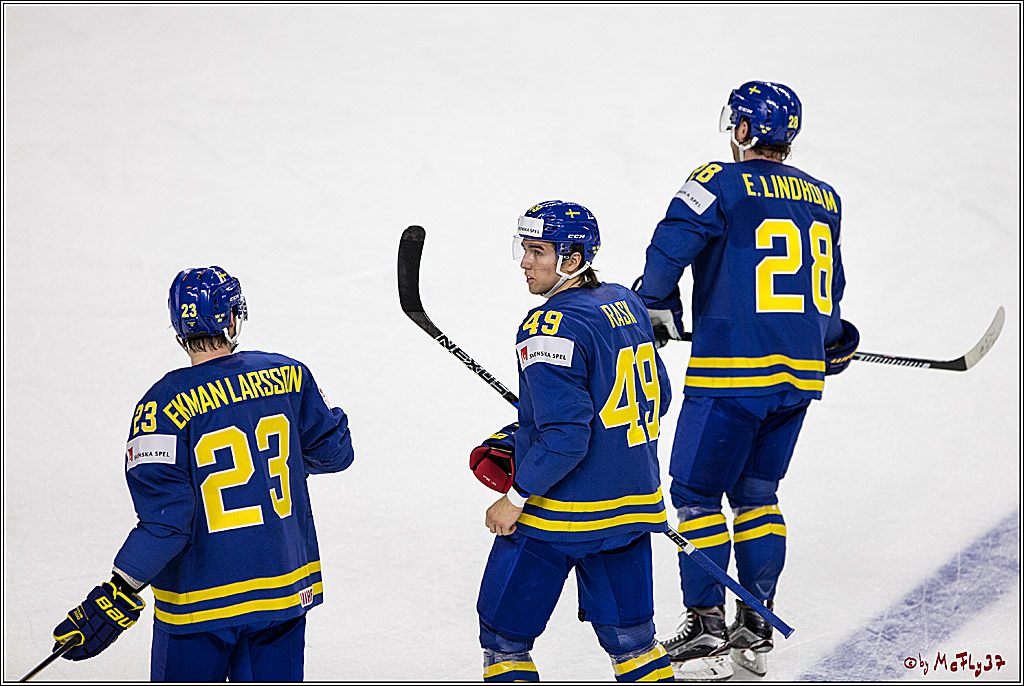 IIHF WM 2017, Deutschland - Schweden, 06.05.2017